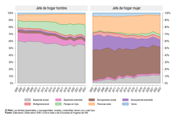 Según el sexo del jefe de hogar