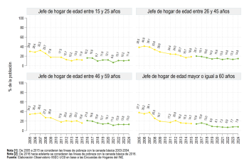 Según edad del jefe de hogar