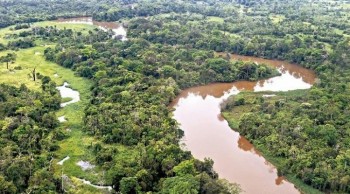 Los territorios indígenas de Bolivia sufren más deforestación que los de los países de la región