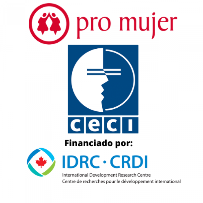 La contribución del sector privado -empresas y cámaras empresariales- a la redistribución familiar y pública del trabajo de cuidado La contribución del sector privado -empresas y cámaras empresariales- a la redistribución familiar y pública del trabajo de cuidado