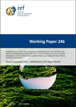 Plural Sustainabilities - Reflections and Ways Ahead