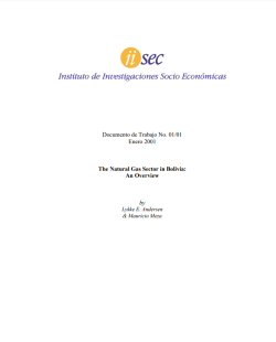 The Natural Gas Sector in Bolivia: An Overview