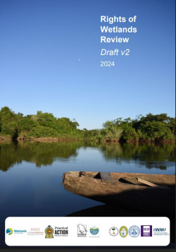 Rights of wetlands review