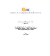 Social Capital in the Urban Informal Sector in Developing Countries – Micro Evidence from Small Textile Producers in Bolivia