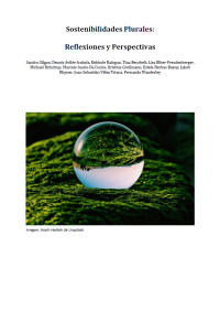 Sostenibilidades Plurales: Reflexiones y Perspectivas